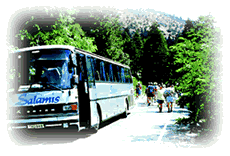 transfer by bus to your cruise in Cyprus