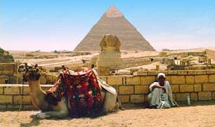 A distinctive view of the sphinx
